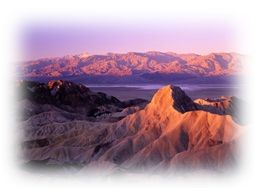 Immagine articolo Fucine Mute