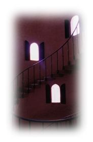 Immagine articolo Fucine Mute