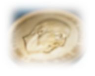 Immagine articolo Fucine Mute