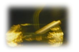 Immagine articolo Fucine Mute