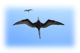 Immagine articolo Fucine Mute