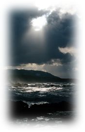 Immagine articolo Fucine Mute