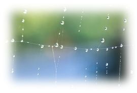 Immagine articolo Fucine Mute