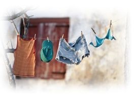 Immagine articolo Fucine Mute