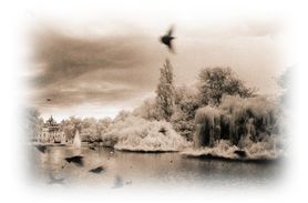 Immagine articolo Fucine Mute