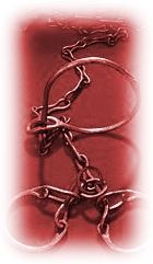 Immagine articolo Fucine Mute