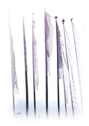 Immagine articolo Fucine Mute