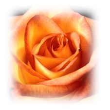 Immagine articolo Fucine Mute