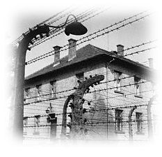 Immagine articolo Fucine Mute