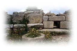 Immagine articolo Fucine Mute