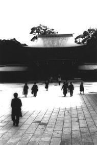 Immagine articolo Fucine Mute