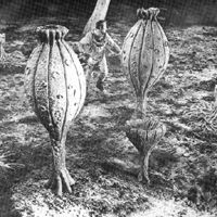 Base Luna chiama Terra di N. Juran