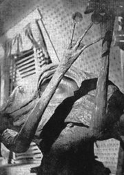 This island Earth di J. Newman