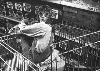 The incredible shrinking woman di J. Schumacher