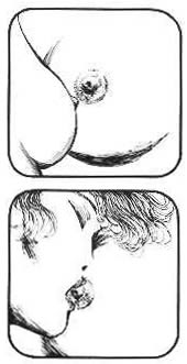 Immagine editoriale Fucine Mute