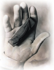 Immagine articolo Fucine Mute