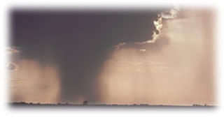 Immagine articolo Fucine Mute