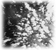 Immagine articolo Fucine Mute