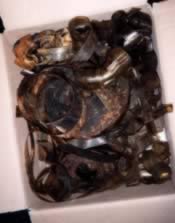 La pellicoloa originale