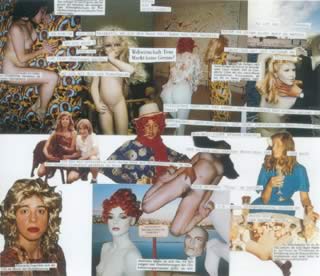 Migros collaage di Elke Krystufek