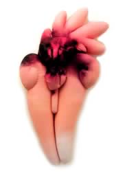 Immagine articolo Fucine Mute