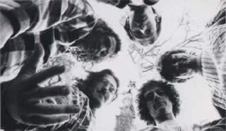 I Bug, le radici degli Gea