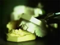 The Beautiful People: una delle immagini presentate in sequenza accelerata