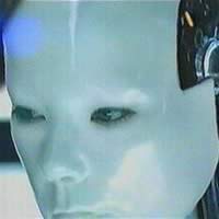 Bjork in All is full of love