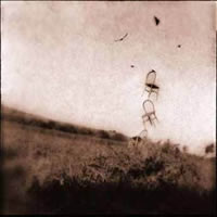 Immagine articolo Fucine Mute