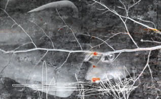 Immagine articolo Fucine Mute