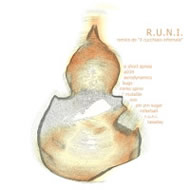 Immagine articolo Fucine Mute