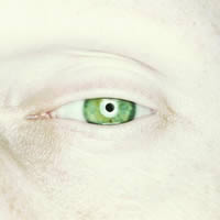 Immagine articolo Fucine Mute