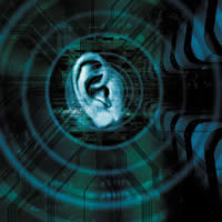 Immagine articolo Fucine Mute