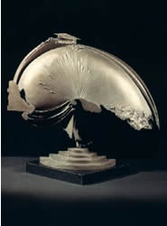 Immagine articolo Fucine Mute