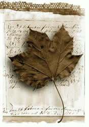 Immagine articolo Fucine Mute