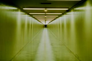 Immagine articolo Fucine Mute