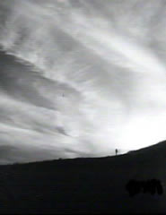 Immagine articolo Fucine Mute