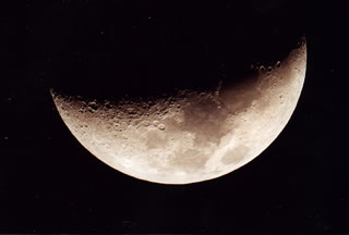 Immagine articolo Fucine Mute