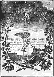 Immagine articolo Fucine Mute