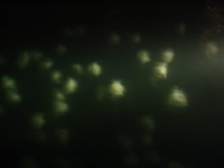 Manuela Sedmach su Fucine Mute 56