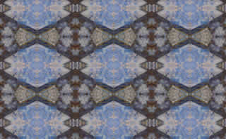 Immagine articolo Fucine Mute