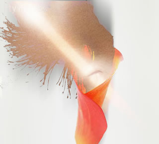 Immagine articolo Fucine Mute