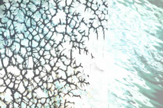 Immagine articolo Fucine Mute