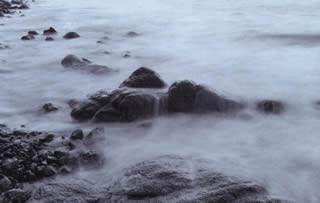 Immagine articolo Fucine Mute