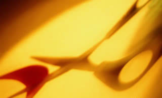 Immagine articolo Fucine Mute