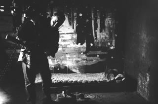 Immagine articolo Fucine Mute