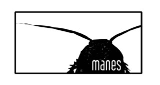 Immagine articolo Fucine Mute