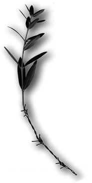 Immagine editoriale Fucine Mute