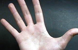 Immagine articolo Fucine Mute