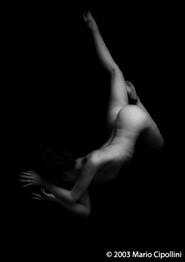 Immagine articolo Fucine Mute